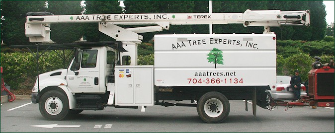 Tree Care Equipment