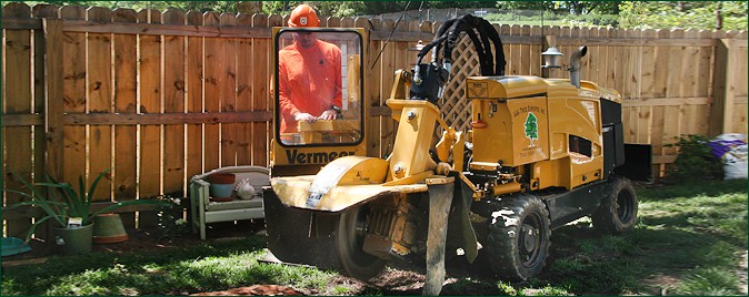 Stump Grinding Services Charlotte, NC