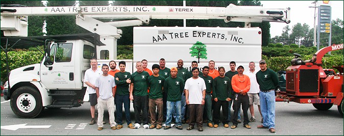 AAA Tree Experts in Charlotte, NC crew