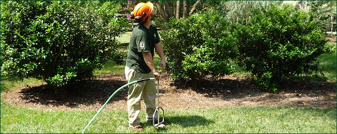 Deep Root Fertilization, Deep Root Soil Amendment, Charlotte, NC