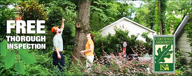 Certified Arborist Service Charlotte, NC