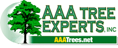 AAA Tree Experts Logo - Tree Removal Charlotte
