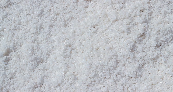 Protecting trees from salt damage near driveways and walkways in winter by AAA Tree Experts