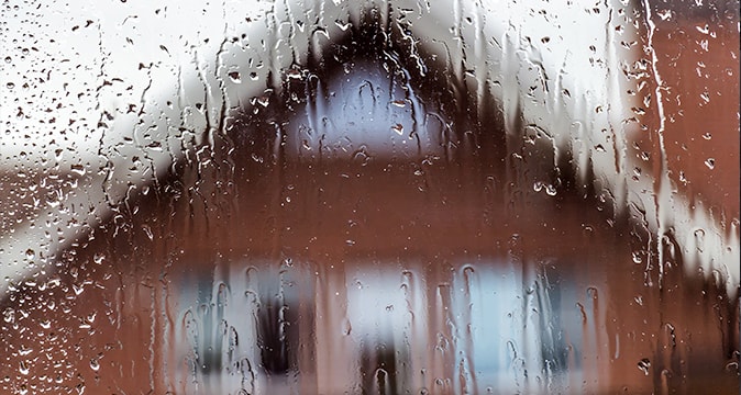 Rainwater collection method helping trees receive natural irrigation recommended by AAA Tree Experts