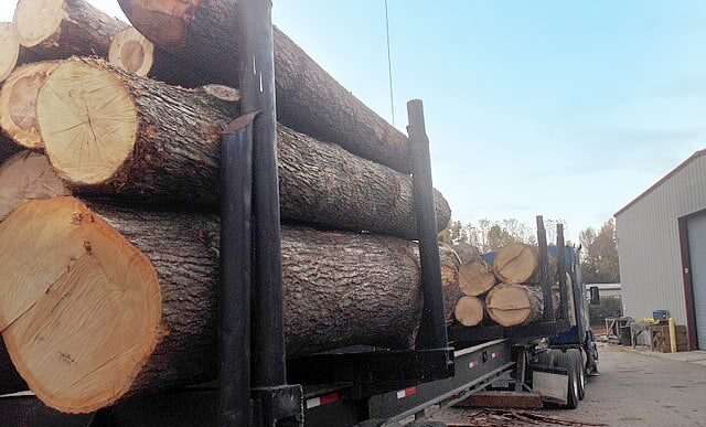 Reclaimed wood from removed trees prepared for reuse and recycling by AAA Tree Experts