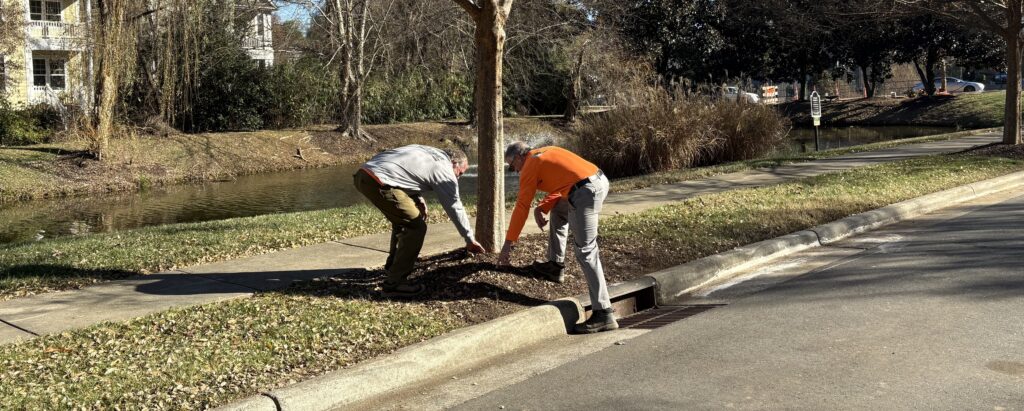 Tree care expert from AAA Tree Experts inspecting large tree structure near residential property