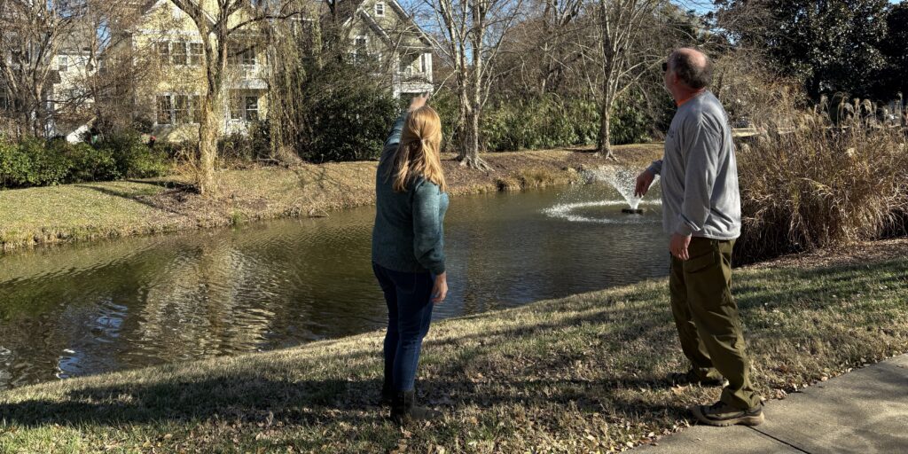 Close view of certified arborist from AAA Tree Experts assessing tree health and structural safety