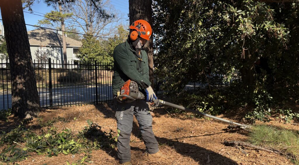 Pole chainsaw tool used by arborists at AAA Tree Experts for safe tree branch cutting