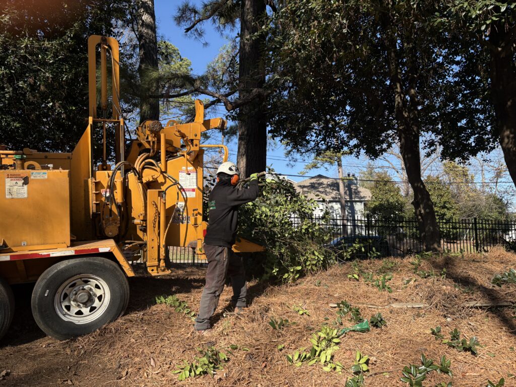 Wood chipper processing tree branches during professional tree removal by AAA Tree Experts