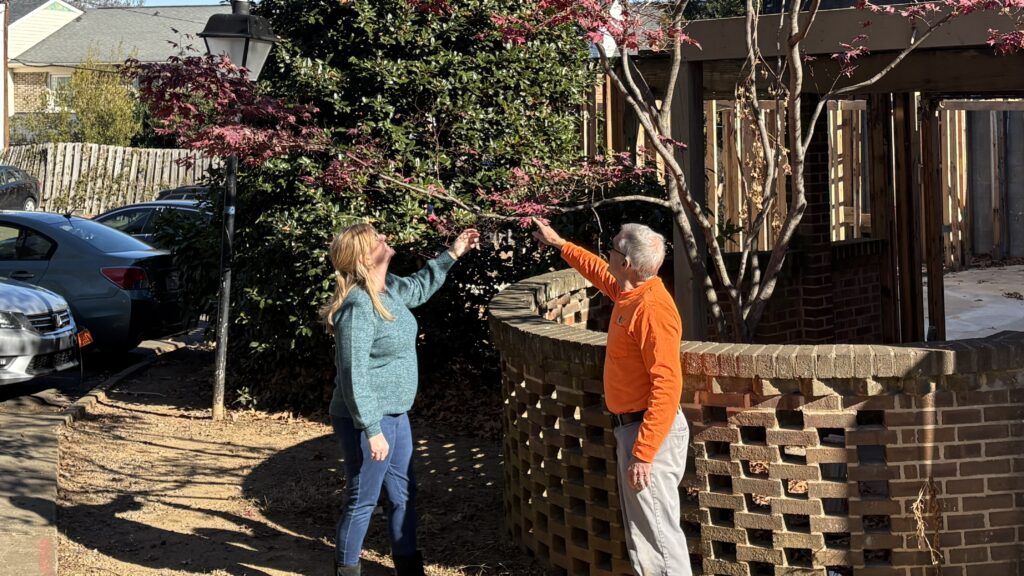Tree service arborist from AAA Tree Experts consulting customer about pruning and tree health