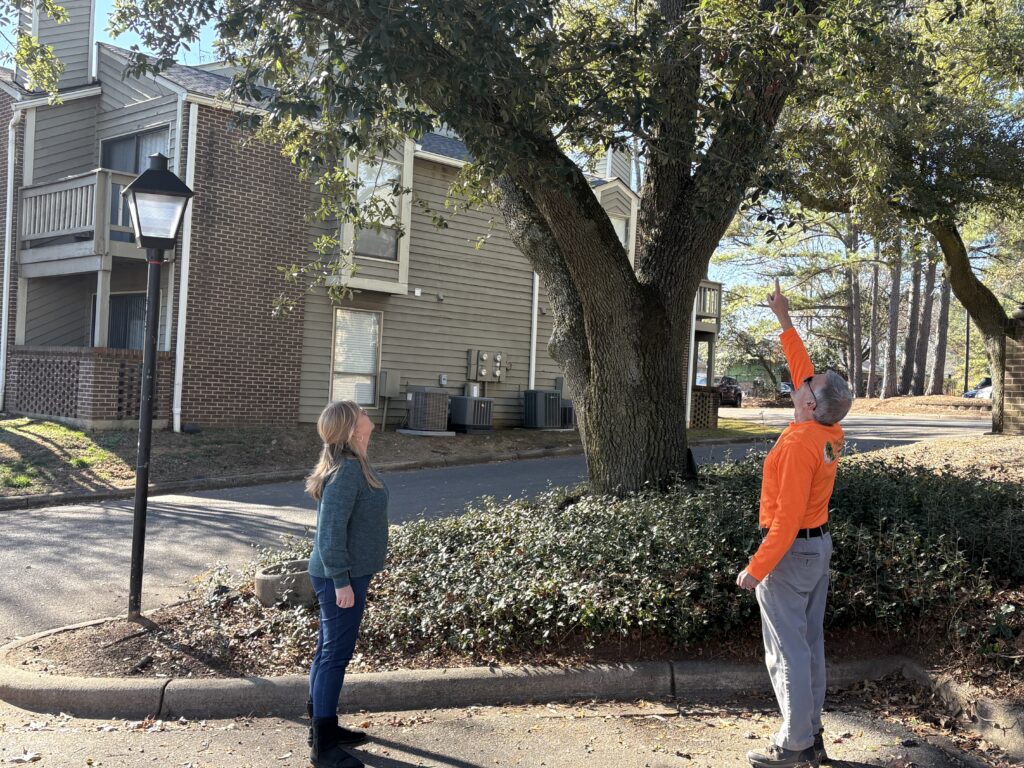Close up of arborist from AAA Tree Experts discussing tree condition and safety concerns