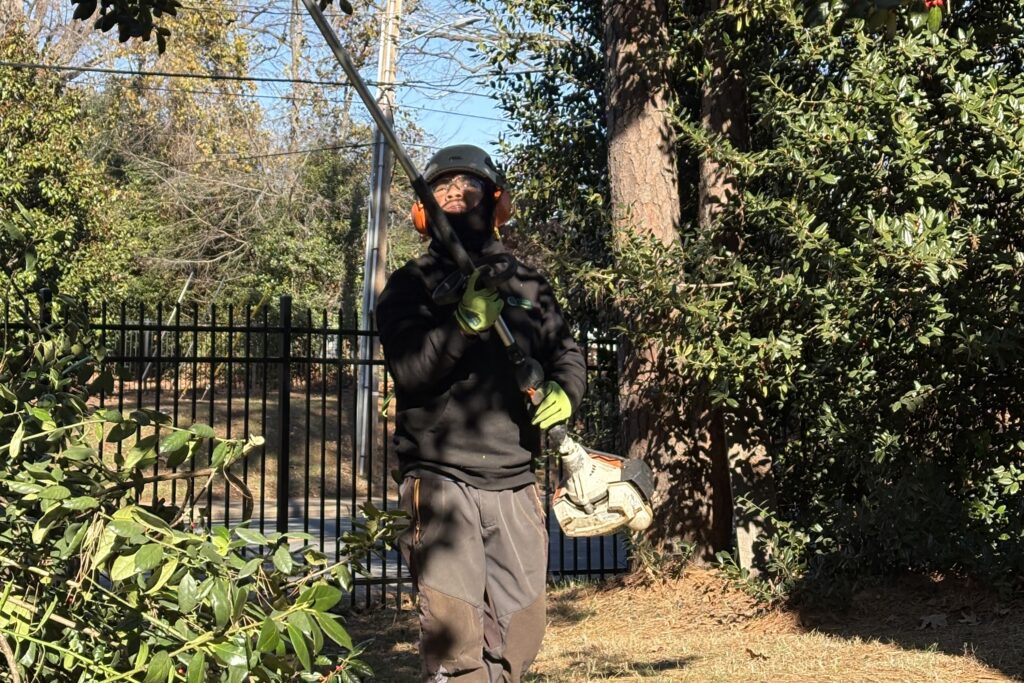 Arborist from AAA Tree Experts trimming tree branches using professional cutting techniques