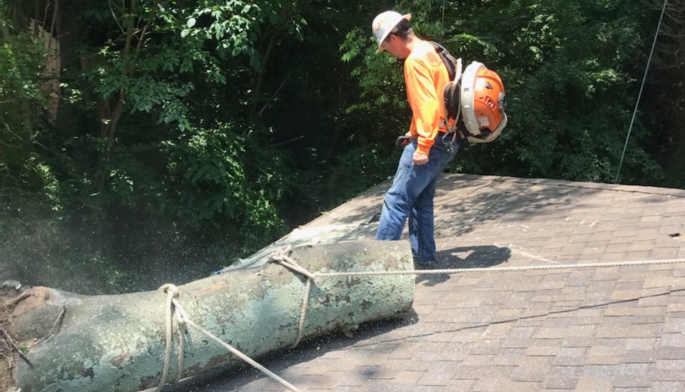 Emergency tree service responding to storm damaged tree situation by AAA Tree Experts