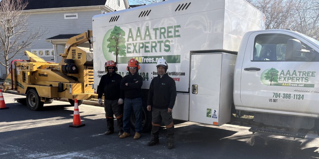 Professional arborist team from AAA Tree Experts preparing equipment for tree service job