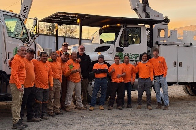 Tree service crew from AAA Tree Experts wearing safety gear during team workday photo