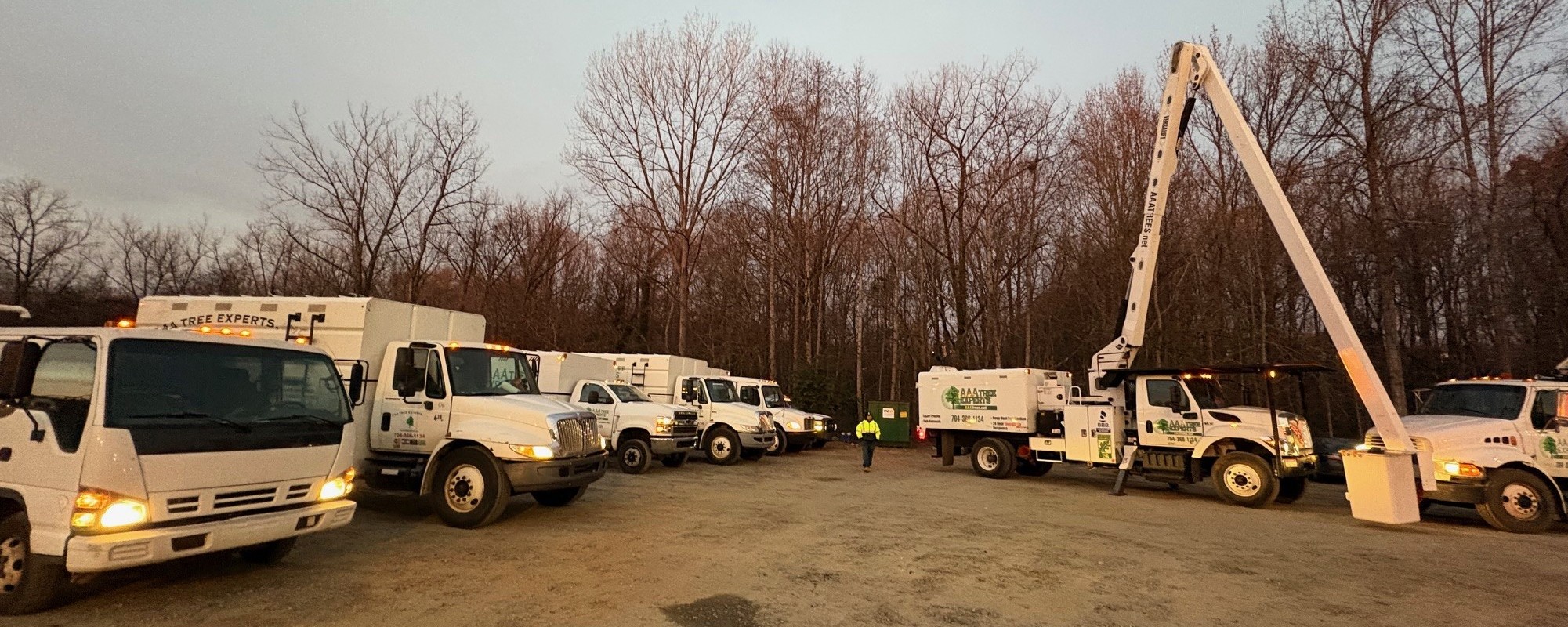 Tree Aaa Tree Care Equipment - AAA Tree Experts - Charlotte, NC