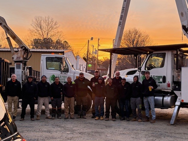 Tree service team from AAA Tree Experts group photo wearing branded black hoodies