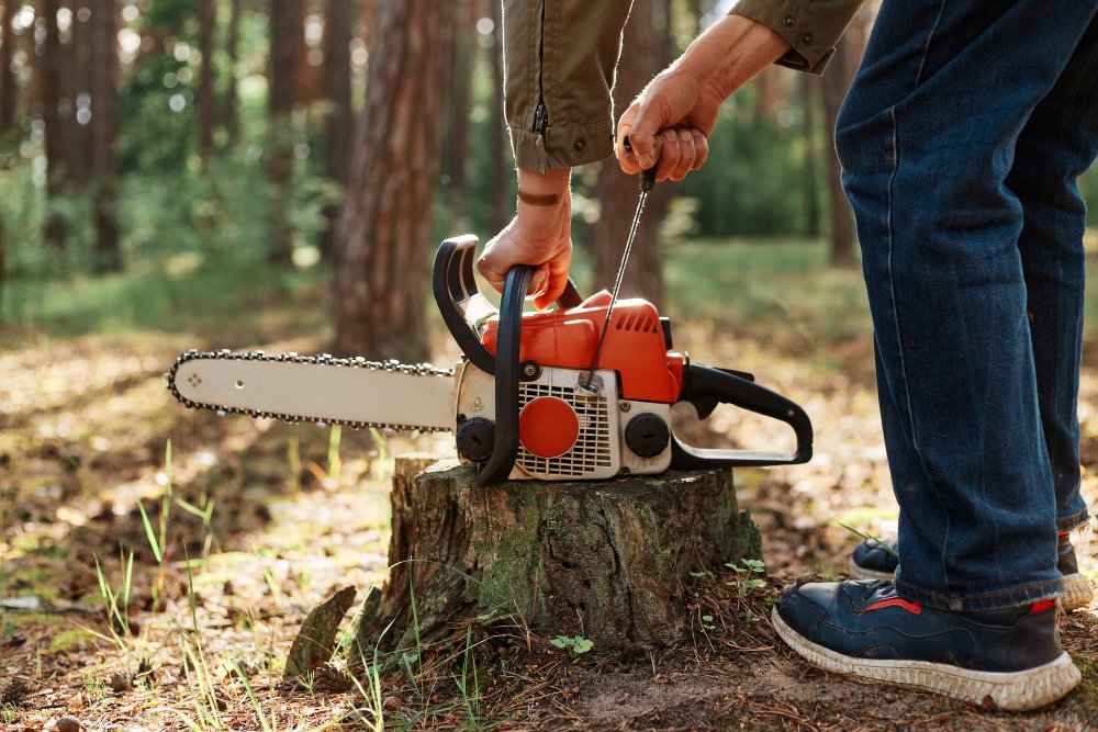 Tree stump removal in Charlotte yard with ground stump grinding service doing by an expert